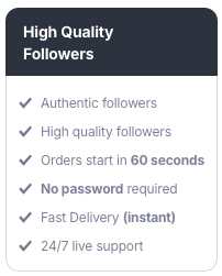 high quality tiktok followers